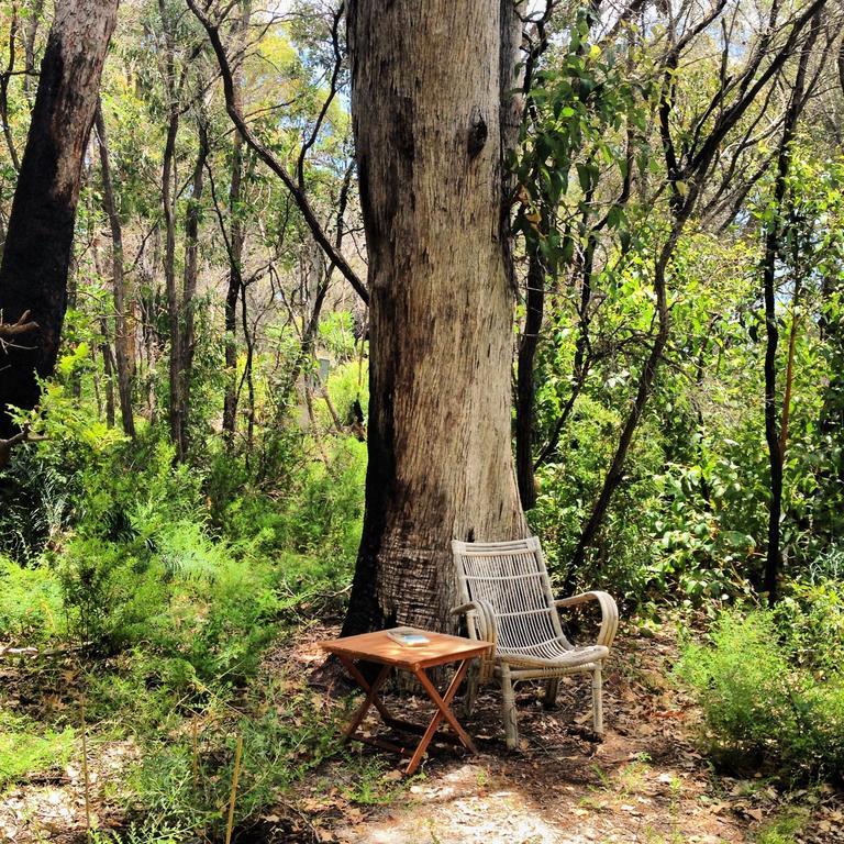Wilderness House Bed & Breakfast Margaret River Ruang foto