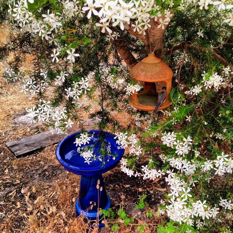 Wilderness House Bed & Breakfast Margaret River Ruang foto